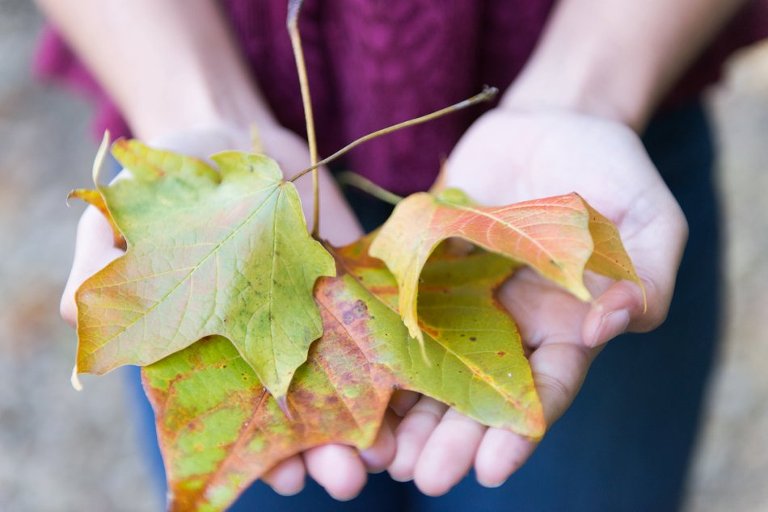 jenny_spires_photography_kiley_indianapolis_003